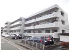 野上ハイムの間取り画像