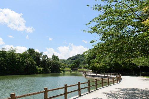 近くの白水大池公園まで965m(徒歩13分)