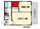 ステラOne諸岡の間取り画像