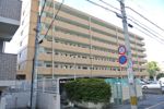 アンピールメゾン大橋の間取り画像