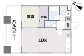 DSタワー平尾駅前レジデンスの間取り画像