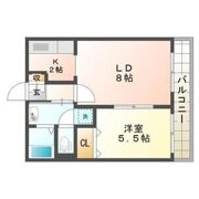 シャイニングライブIIIの間取り画像