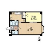 INOVE札幌南4条の間取り画像