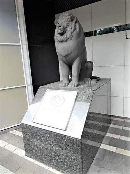 近くのまいばすけっと 北1条東1丁目店まで663m（徒歩9分）