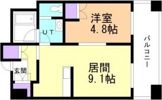ラフィネタワー札幌南3条の間取り画像