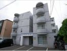 ハイエスト中の島の間取り画像