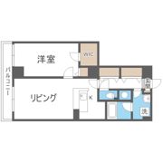 ビッグパレス南5条の間取り画像