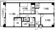 アルファスクエア円山の間取り画像