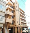 マンションえむずの間取り画像