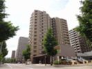 ライフプラザ北2条の間取り画像