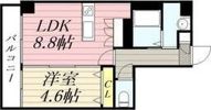 ノースプレミア大通北の間取り画像