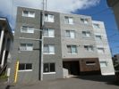 アモール円山の間取り画像