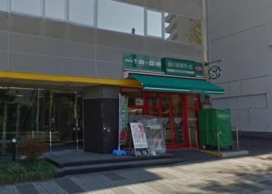近くのまいばすけっと 北5条西10丁目店まで300m（徒歩4分）