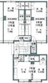 パール1NOVAマンションの間取り画像