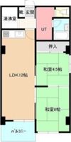 中の島1・3マンションの間取り画像