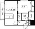 VILLA MT 平岸の間取り画像