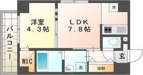 スペチアーレ大通の間取り画像