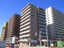 メトロ月寒中央の間取り画像