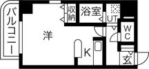 フェリスカーサN20の間取り画像