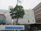 モルティーニN20の間取り画像