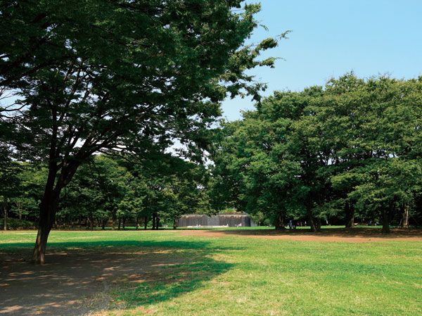 近くの中央公園まで250m（徒歩4分）