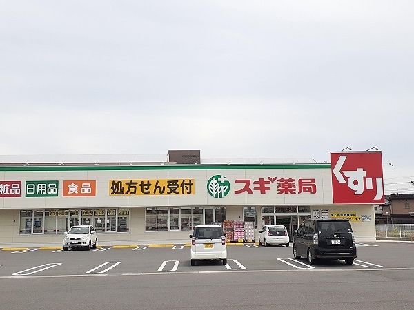 近くのスギ薬局玉垣店まで300m(徒歩4分)