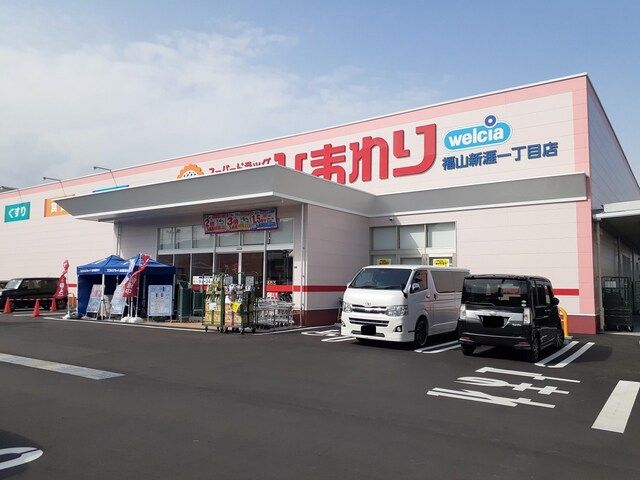 近くのひまわり福山新涯一丁目店まで900m(徒歩12分)
