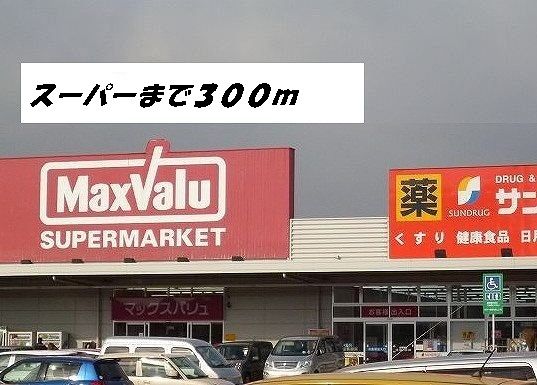 近くのマックスバリュ・サンドラッグまで300m（徒歩4分）