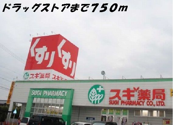 近くのスギ薬局まで750m（徒歩10分）
