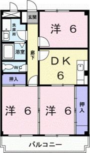 ネオハイツ新富の間取り画像
