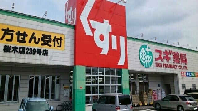 近くのスギ薬局まで220m(徒歩3分)
