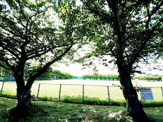 近くの厚原スポーツ公園まで500m(徒歩7分)