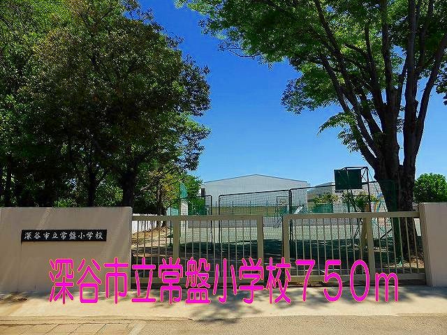 近くの深谷市立常盤小学校まで750m（徒歩10分）