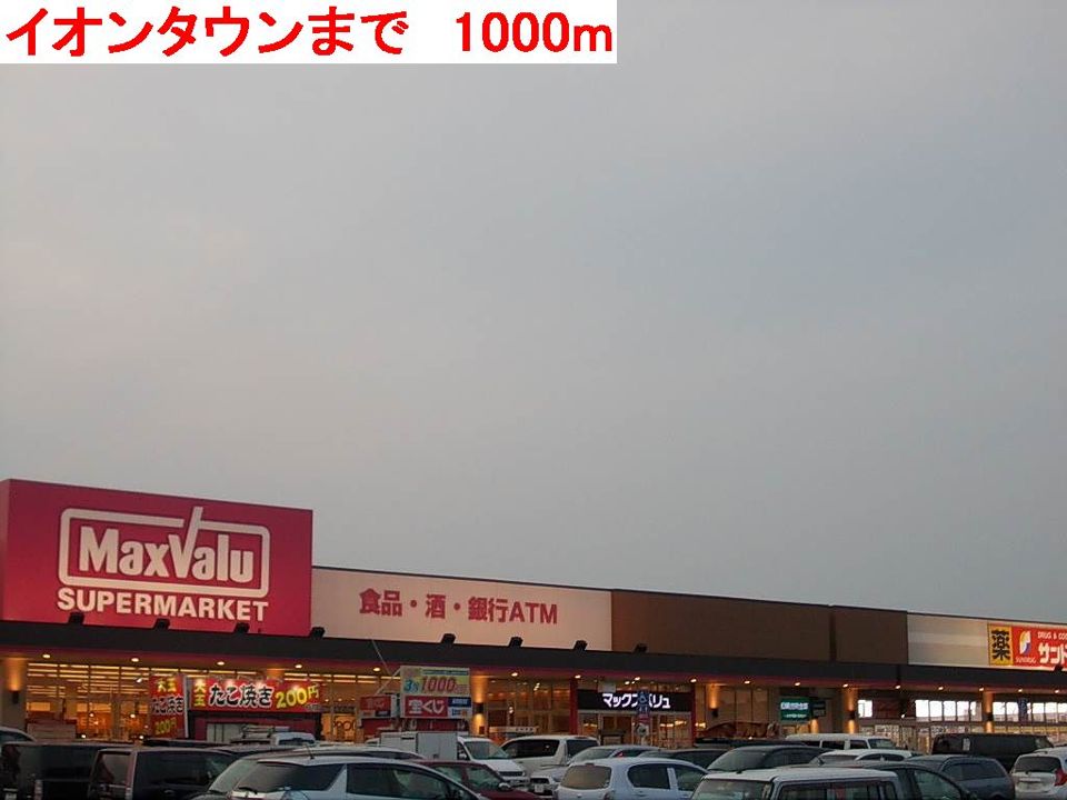 近くのイオンタウンまで1,000m（徒歩13分）