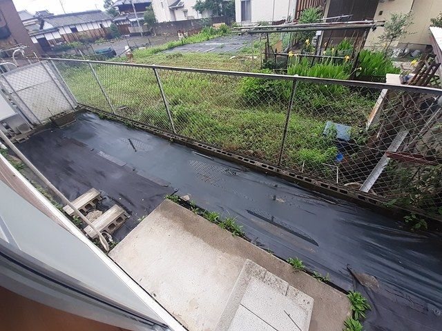 庭
