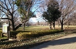 近くの青葉の森公園まで900m（徒歩12分）