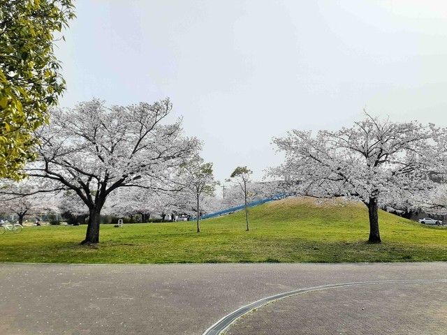 近くの葵が丘公園まで550m(徒歩7分)