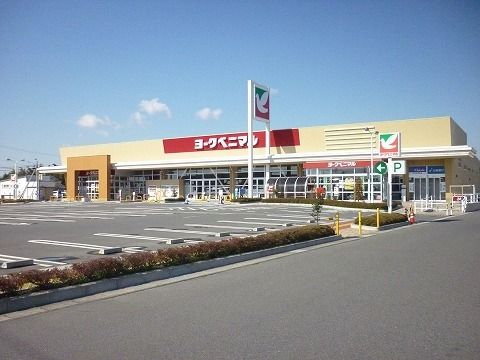 近くのヨークベニマル希望ヶ丘店まで650m（徒歩9分）