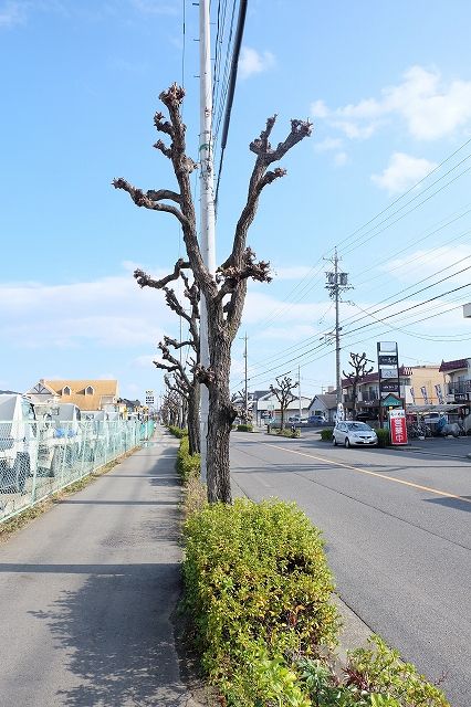 近くに施設あり