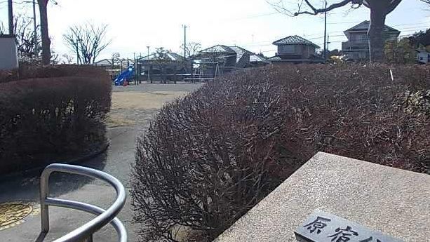 近くの原宿公園まで150m(徒歩2分)