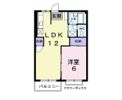エルディム中原の間取り画像