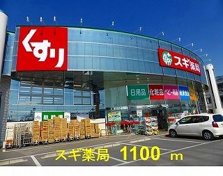 近くのスギ薬局上柴店まで1,100m(徒歩14分)