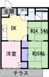 シティハイツM・Nの間取り画像