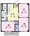 ニューシティー粟津の間取り画像