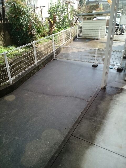 庭