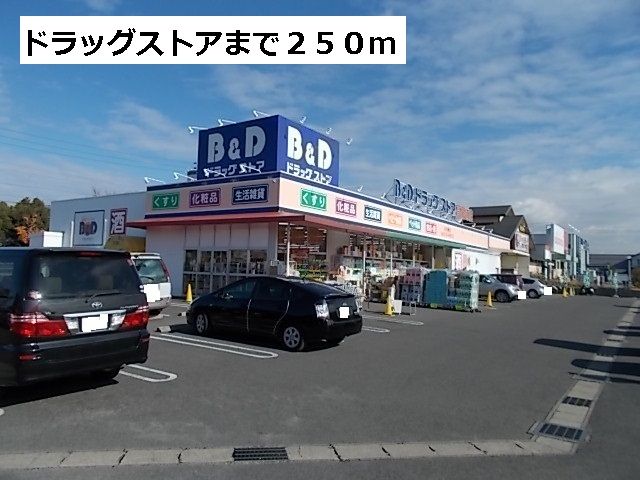 近くの薬局まで250m(徒歩4分)
