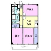 グリ－ンパレス雲梯の間取り画像