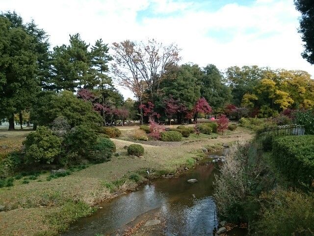 近くの公園まで550m（徒歩7分）