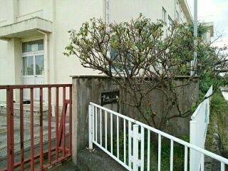 近くの一宮市立　黒田小学校まで400m（徒歩5分）