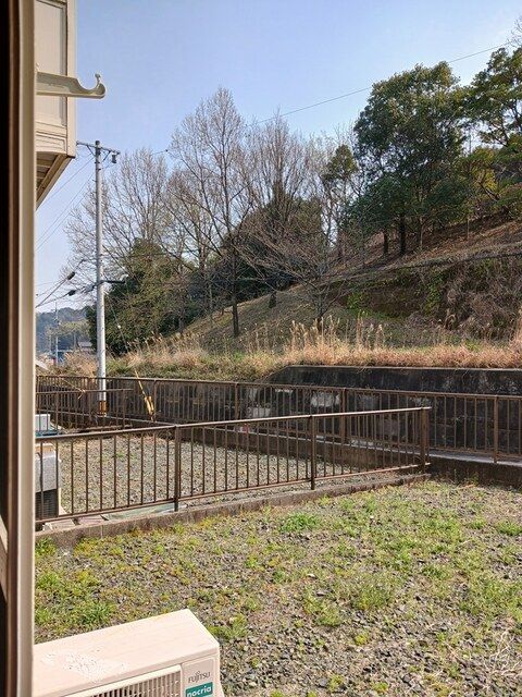 庭